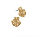 Hot Tomato Clam Shell Studs - Matte Gold