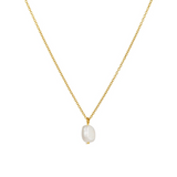 One & Eight Gold Pearl Necklace