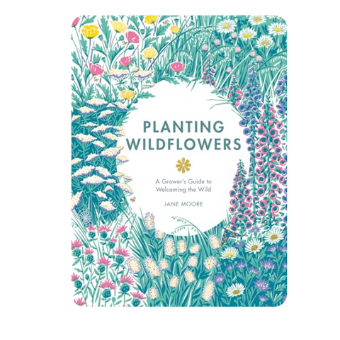 Planting Wildflowers