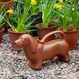 Sausage Dog Watering Can