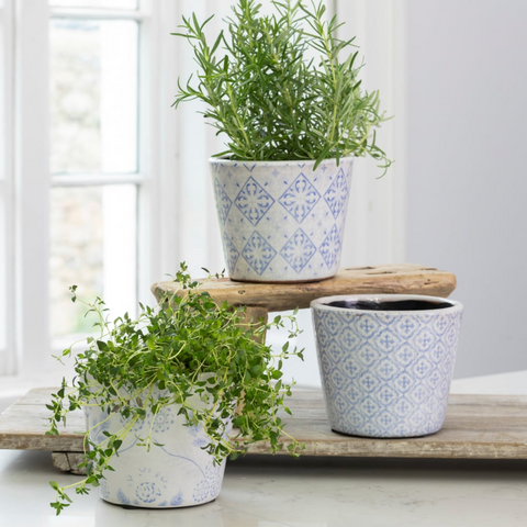 Old Style Dutch Pots - Blue