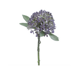 Antique Purple Mini Hydrangea