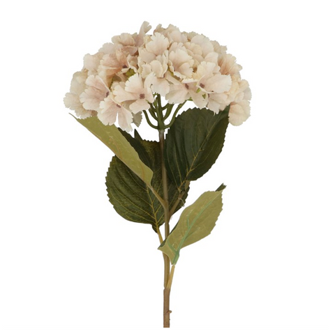 Stem 84cm - Antique Cream Hydrangea