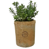 Kew Terracotta Cylinder Pot - Antique Red