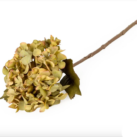 46cm Single Hydrangea Stem - Olive