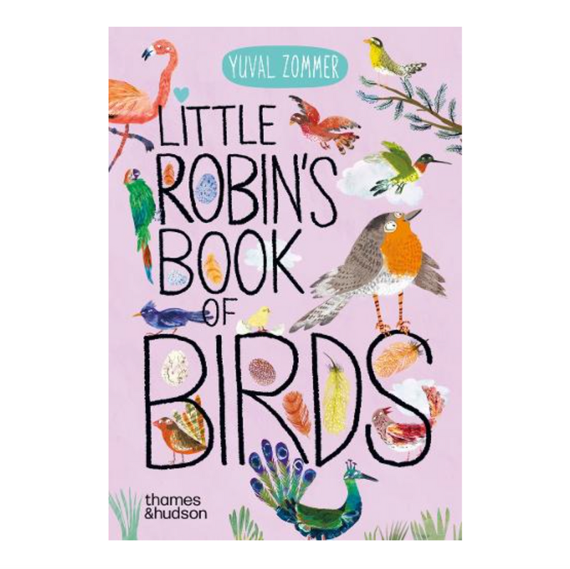 Little Robin's Book of Birds