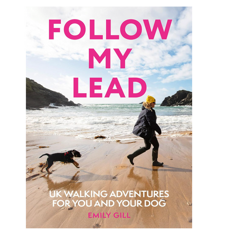 Follow My Lead: UK Walking Adventures For You And Your Dog - Emily Gill