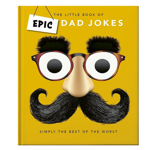 The Little Book Of Epic Dad Jokes