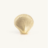 Abby Shell Knob