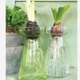 Hyacinth Vase - Cut Glass Lines