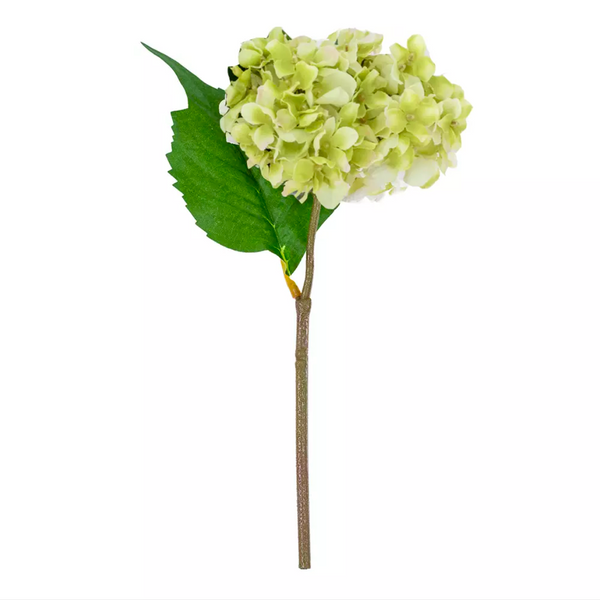 Hydrangea - Green 24cm