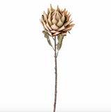 Bloomingville Protea Stem Natural
