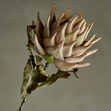 Bloomingville Protea Stem Natural