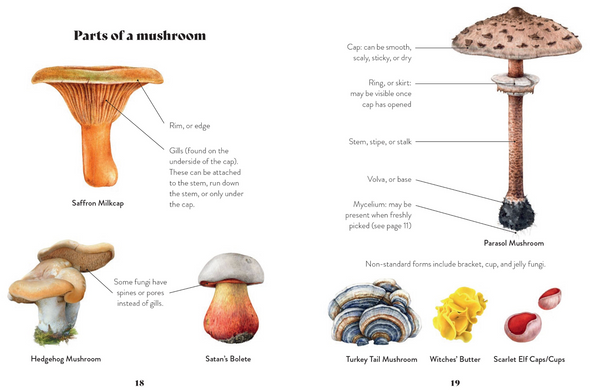 Mushroom Miscellany