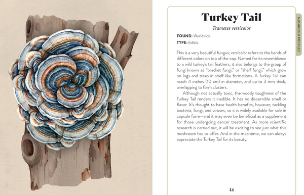 Mushroom Miscellany