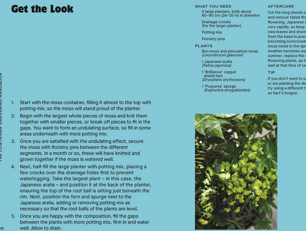 Container Gardening Handbook