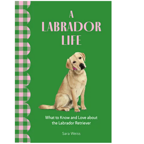 A labrador life