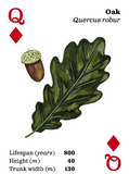 Top Trees Playing Cards