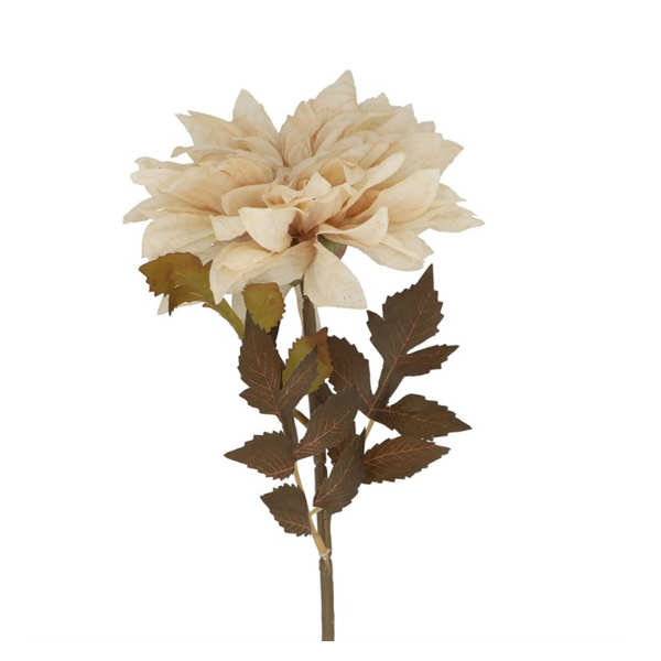 Antique Cream Dahlia Stem
