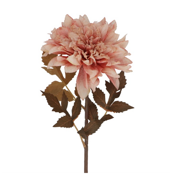 Antique Pink Dahlia Stem
