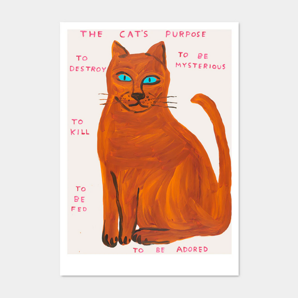 David Shrigley The Cats Purpose Framed Print