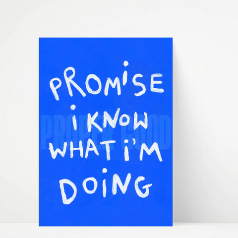 Promise I Know what I'm Doing