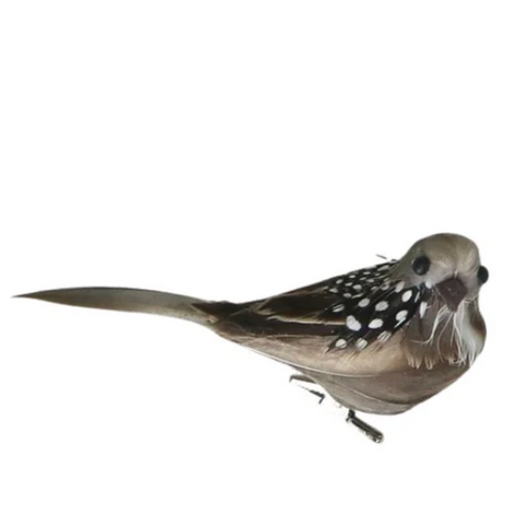 Natural Feather Clip on Garden Bird