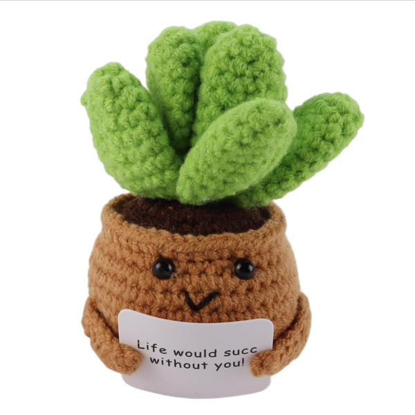 Positive Crochet Succulent