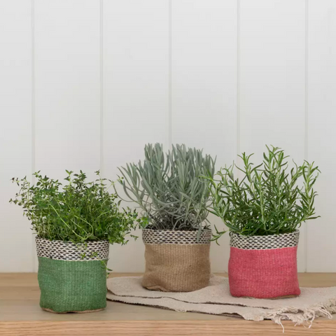Jute Planter In Pot