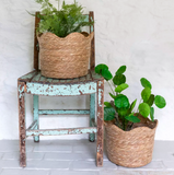 Seagrass Basket Frill Edge Planter - Small