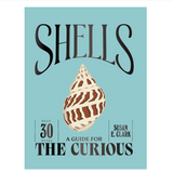 Shells - A Guide for The Curious