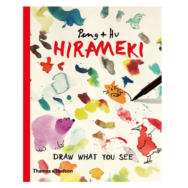 Hirameki: Draw What You See