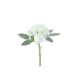 Antique White Mini Hydrangea