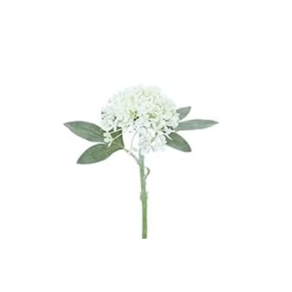 Antique White Mini Hydrangea