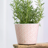 Old Style Dutch Pots - Rose Pink