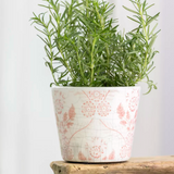 Old Style Dutch Pots - Rose Pink