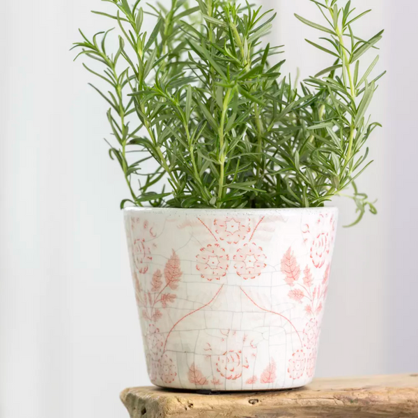 Old Style Dutch Pots - Rose Pink
