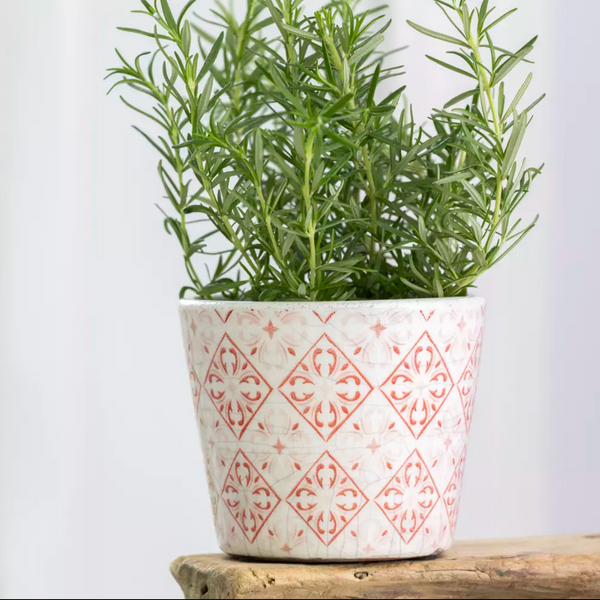 Old Style Dutch Pots - Rose Pink