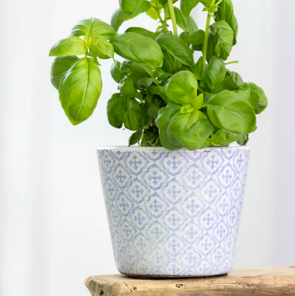 Old Style Dutch Pots - Powder Blue