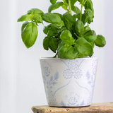 Old Style Dutch Pots - Powder Blue