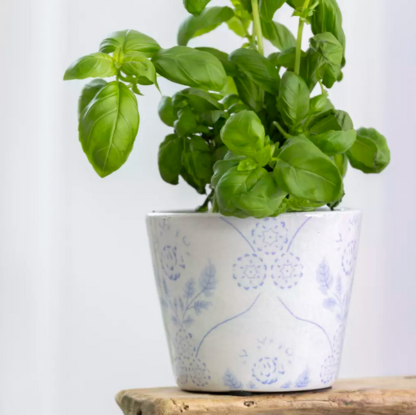 Old Style Dutch Pots - Powder Blue