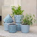Old Style Dutch Pots - Teal