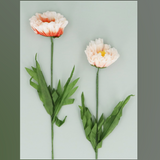 Set of 2 Ornaments Pastel Peonies