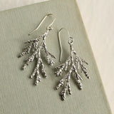  Silk Purse, Sow's Ear - Conifer Branch Botanical Earrings - Silver