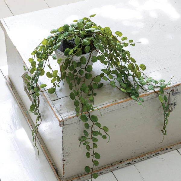 String of Hearts in Pot
