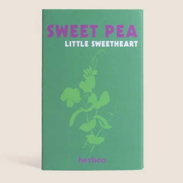 Sweet Pea 'Little Sweetheart' Seed Packet