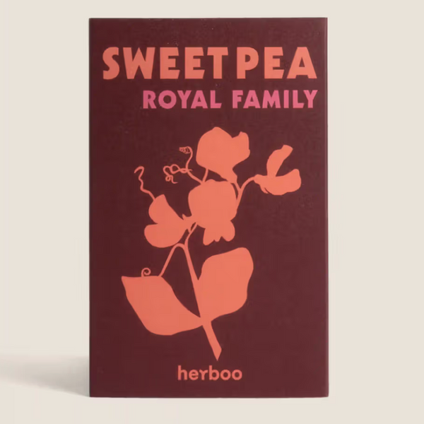 Sweet Pea 'Royal Family' Seeds