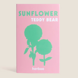 Teddy Bear Sunflower Seeds Packet 