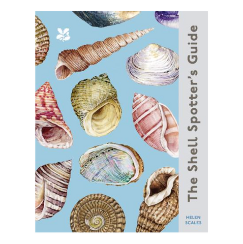The Shell Spotter’s Guide