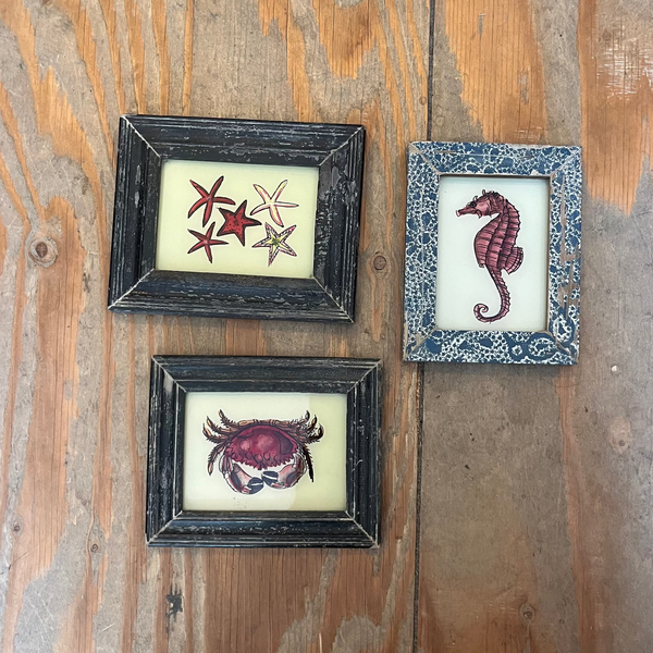 Three small framed nautical art prints displayed on a rustic wooden plank background. The prints feature illustrations of a seahorse, a crab, and starfish on a beige background, each in a different style of frame.